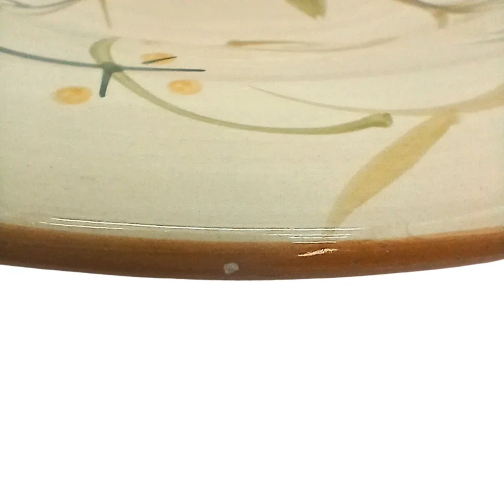 Home American Simplicity Stoneware Dinner Plates 11